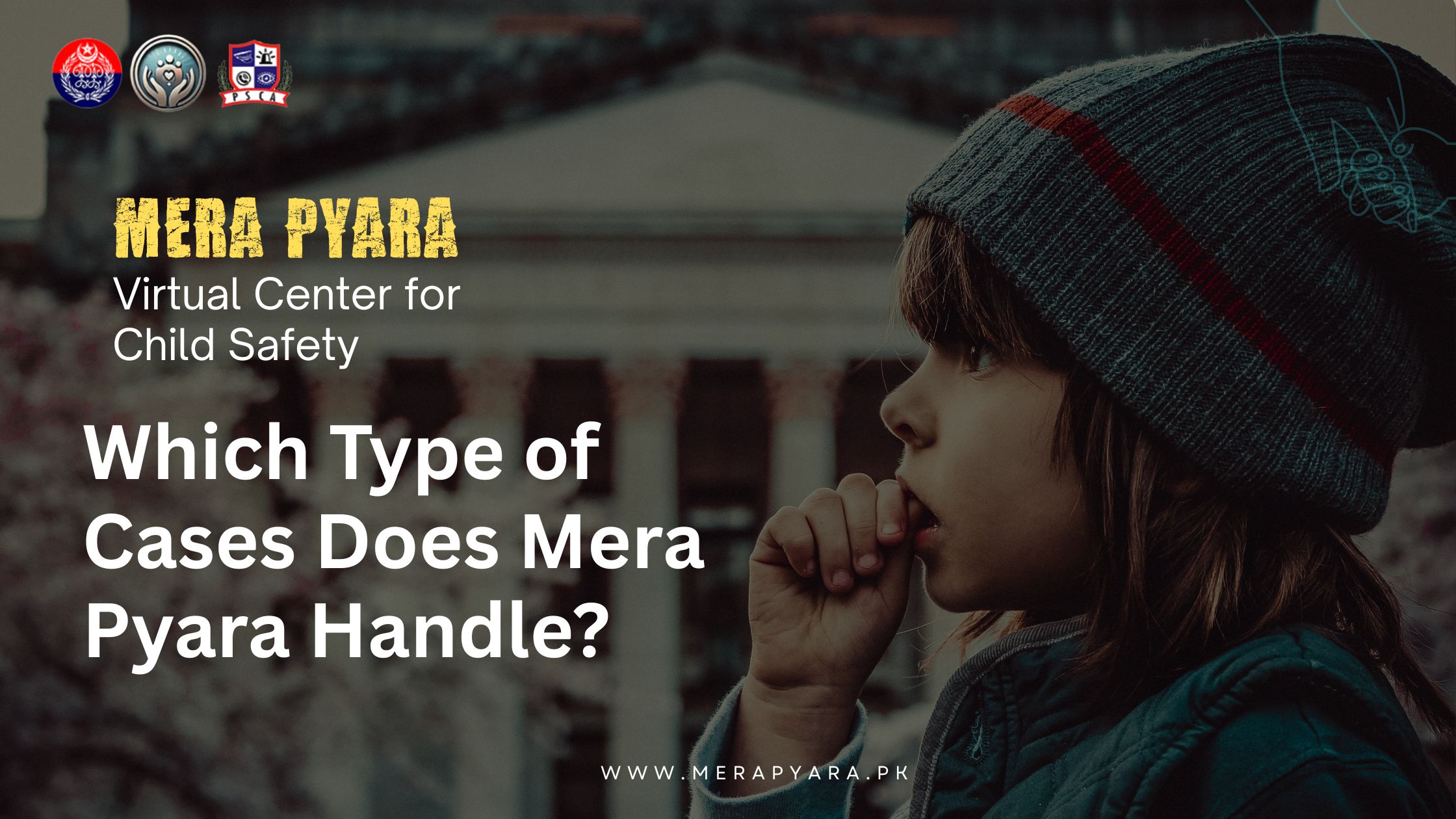 Which Type of Cases Does Mera Pyara Handle?